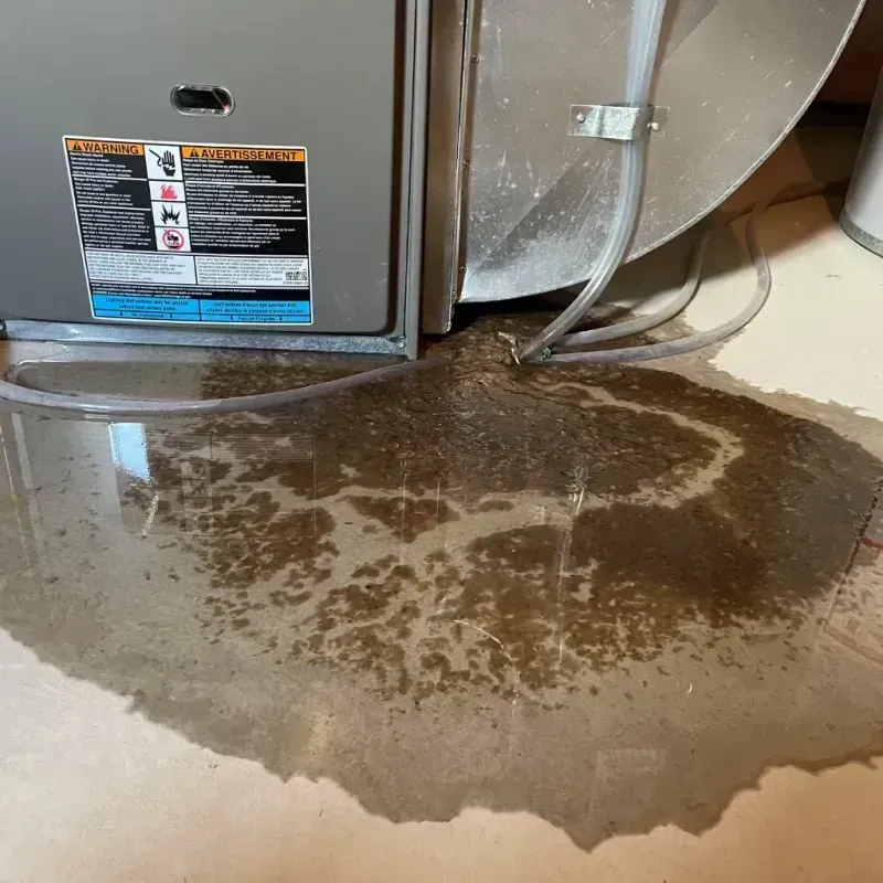 Appliance Leak Cleanup in Tiffin, OH